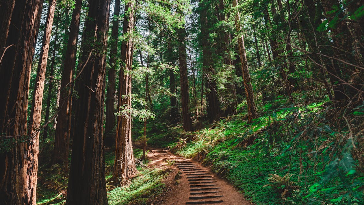 How to Overcome Writer’s Block in Two Simple Steps