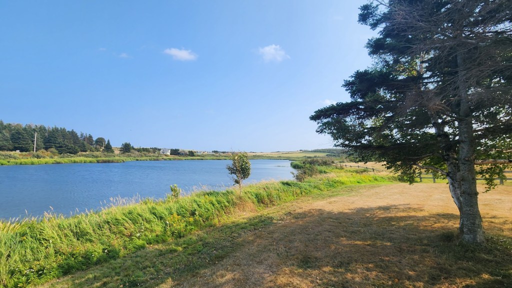 Inspired by the Written Words of Others