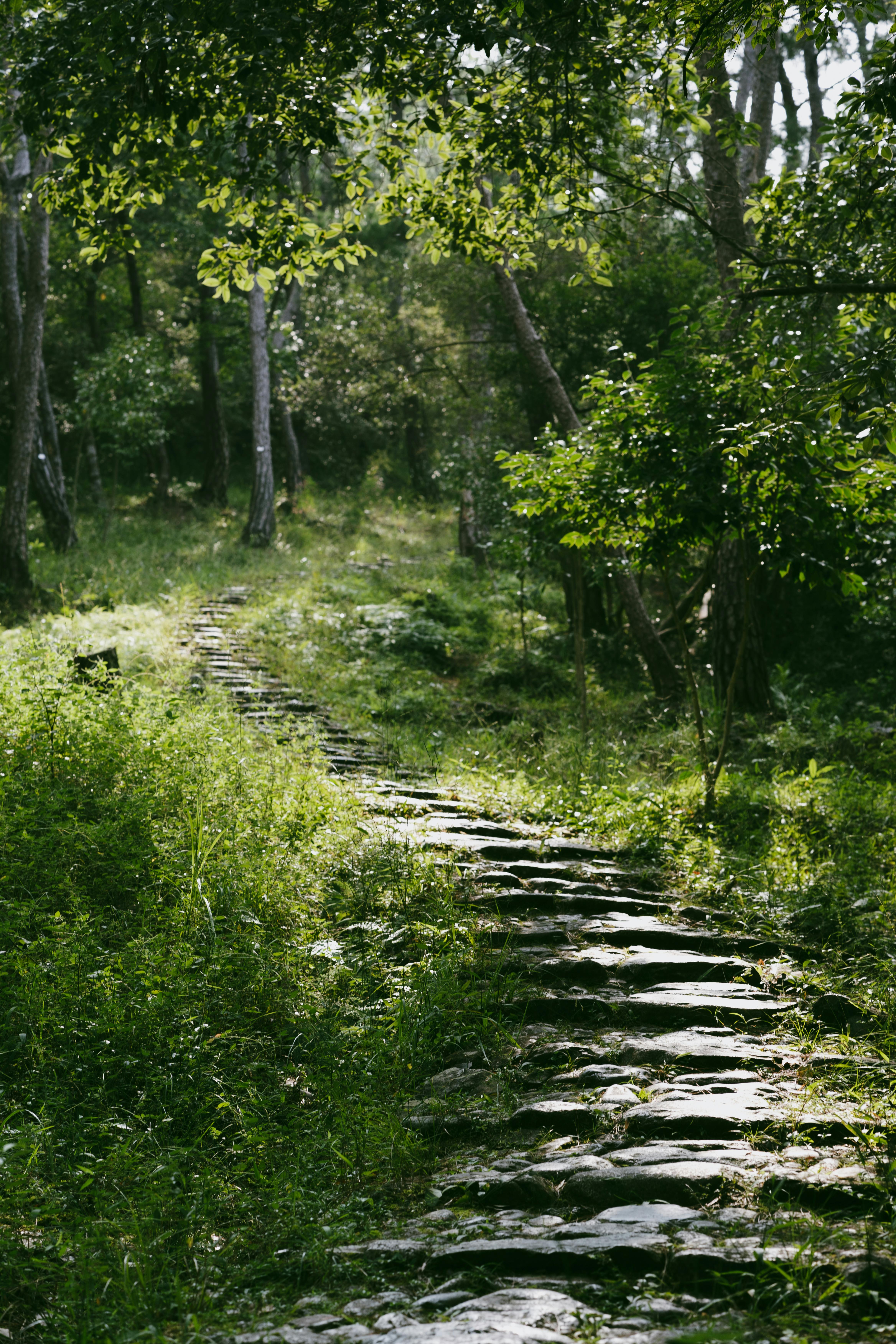 How I Write Without Getting Stuck: A Planster Approach