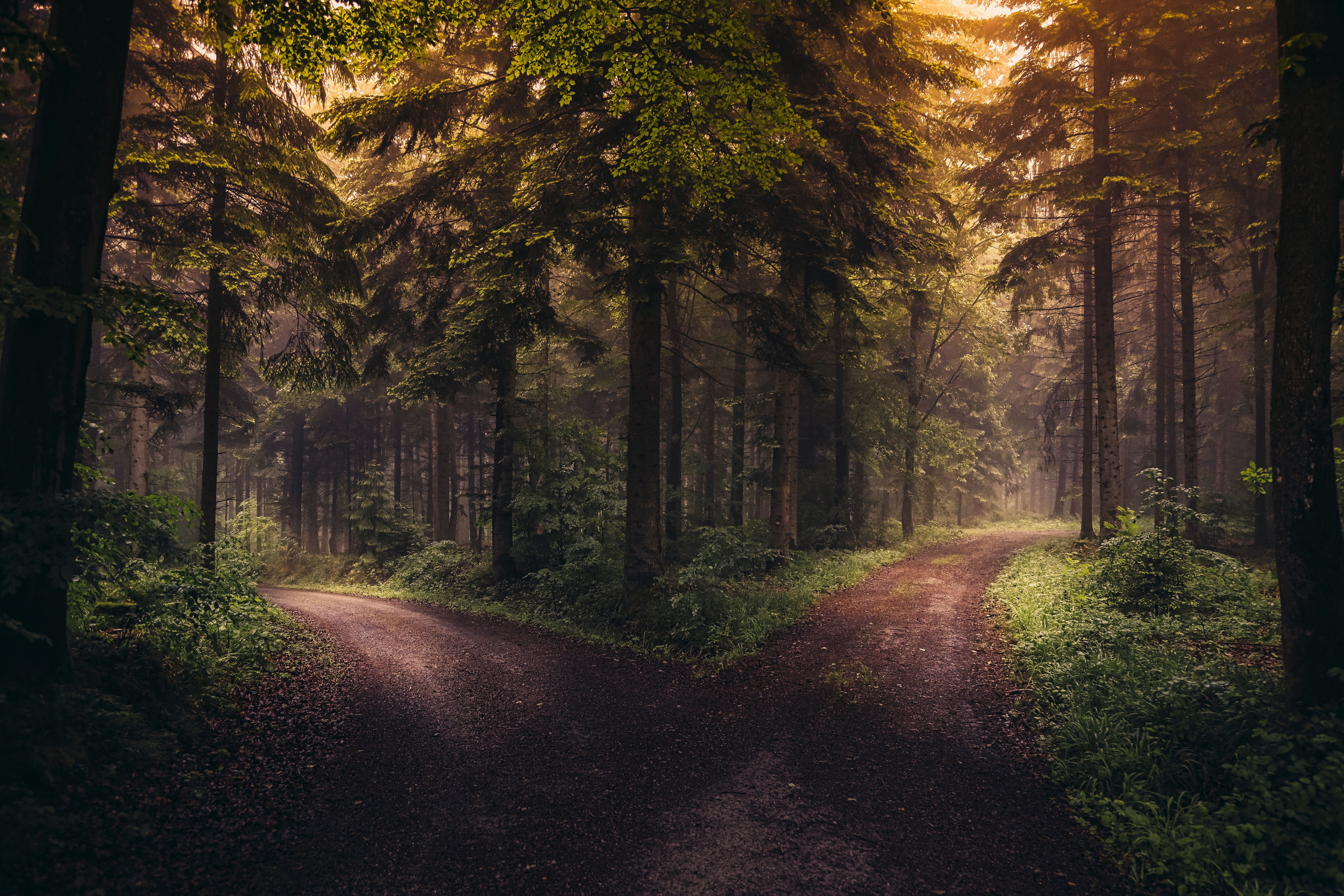 The Art of Letting Go